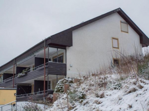 Bright and modern apartment in Niedersfeld near Winterberg with balcony